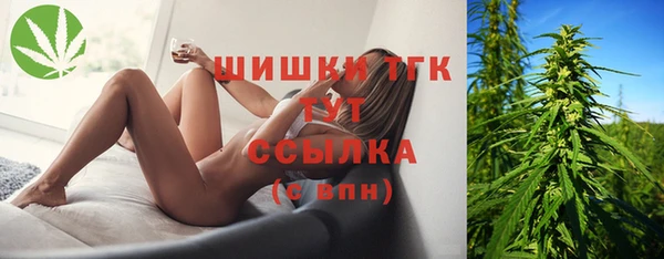 МДПВ Каменногорск