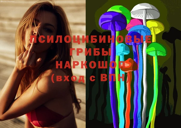 ешки Нефтегорск