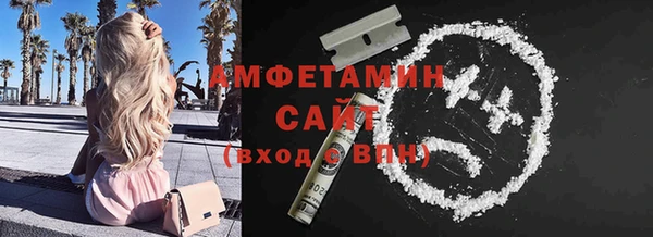 индика Каменск-Шахтинский