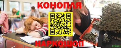 спайс Будённовск