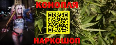 спайс Будённовск