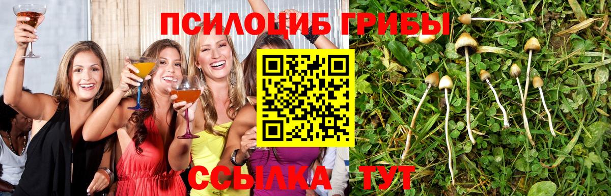 Псилоцибиновые грибы мухоморы Красноуфимск