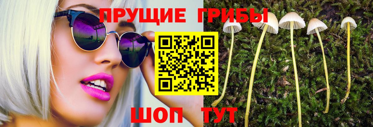 Галлюциногенные грибы Psilocybine cubensis  Вход с VPN  Галлюциногенные грибы мухоморы  Красноуфимск 