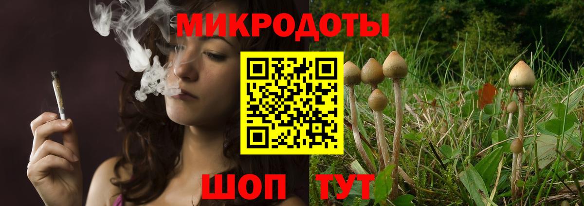 Псилоцибиновые грибы Psilocybe  Красноуфимск 
